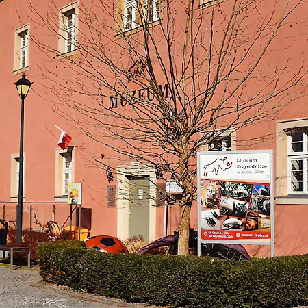 Elizjum Nad Termami Cieplice Apartment *
