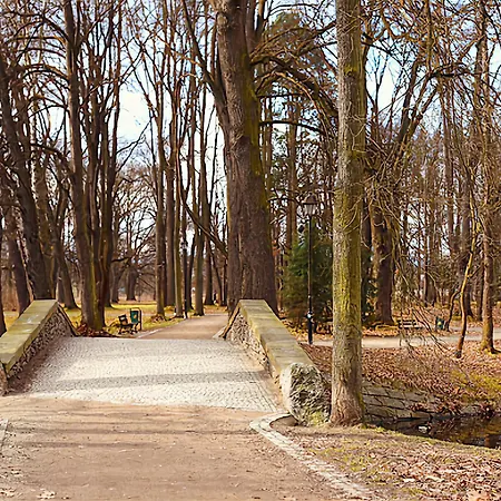 Elizjum Nad Termami Cieplice Апартаменты Еленя-Гура